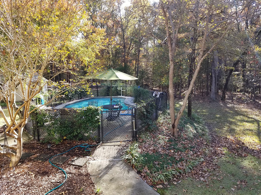 Backyard Landscape